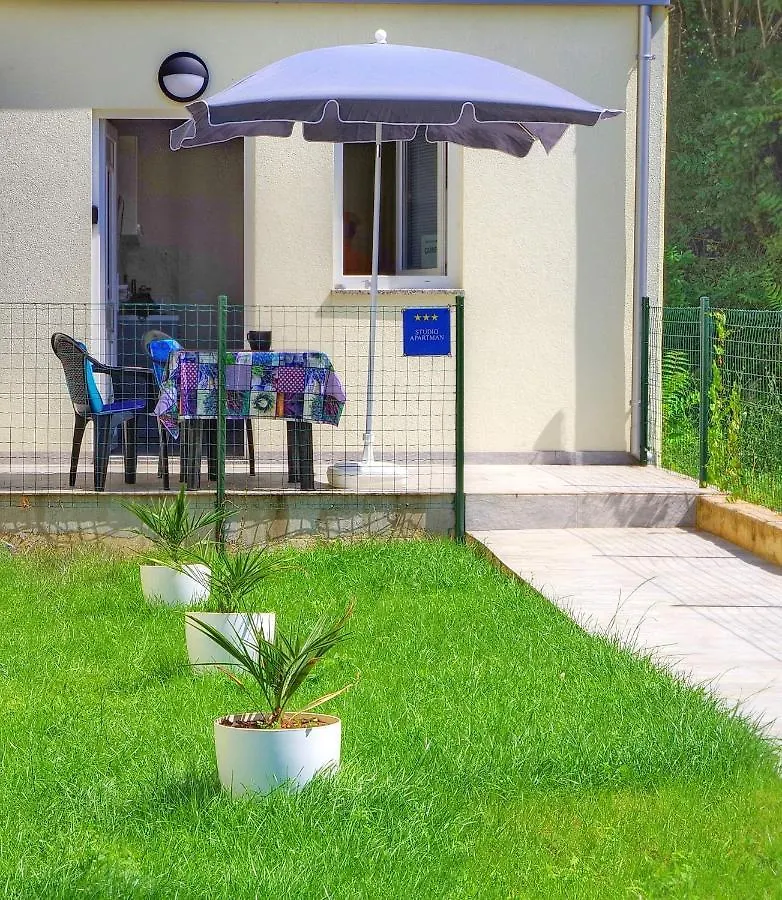 Studio Apartment Carmen Rubesi 0*,